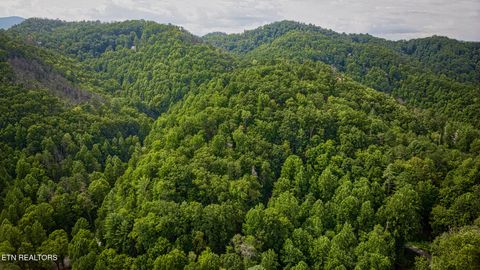 Tiny photo for Lot 11 Stepping Stone Drive, Sevierville, TN 37862 (MLS # 1328869)