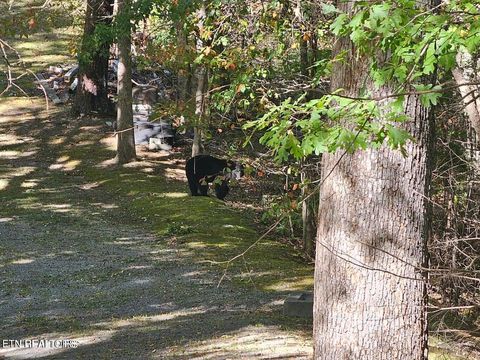 Tiny photo for Lot 11 Stepping Stone Drive, Sevierville, TN 37862 (MLS # 1328869)