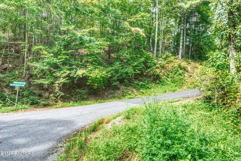 Tiny photo for Lot 11 Stepping Stone Drive, Sevierville, TN 37862 (MLS # 1328869)