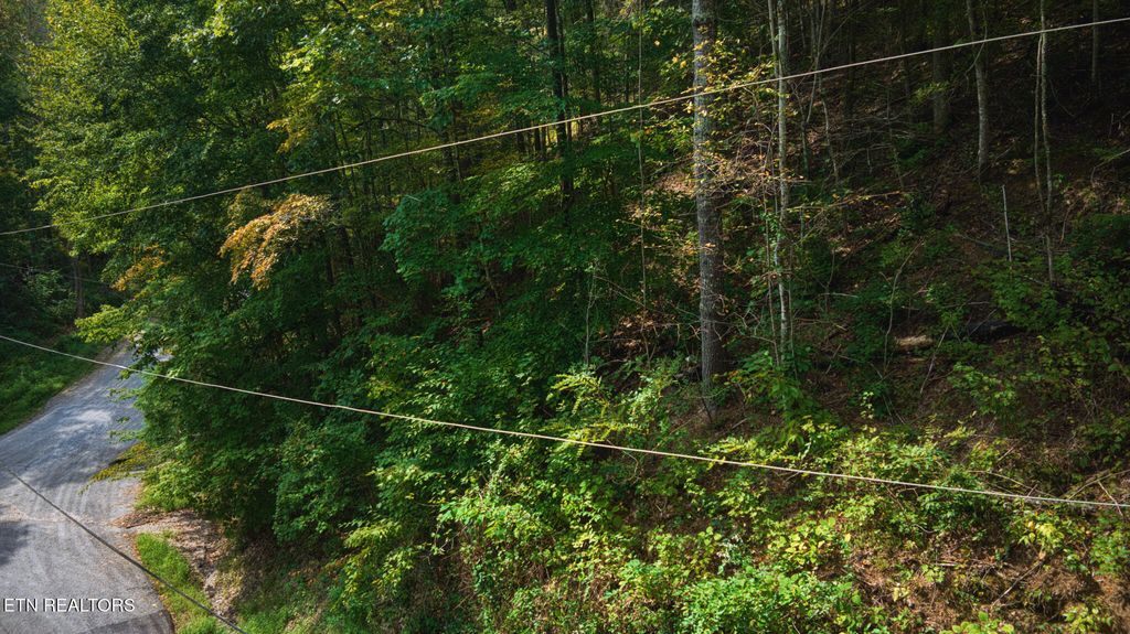 Photo of Lot 11 Stepping Stone Drive, Sevierville, TN 37862 (MLS # 1328869)
