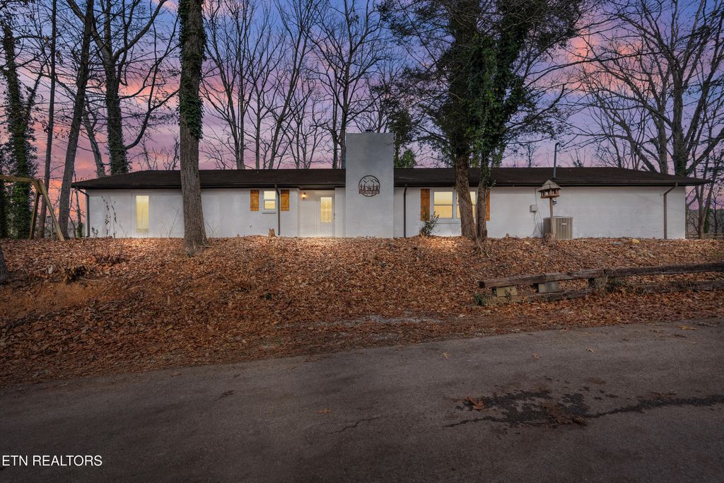 Photo of 335 Buena Vista Dr Drive, Sevierville, TN 37876 (MLS # 1323254)