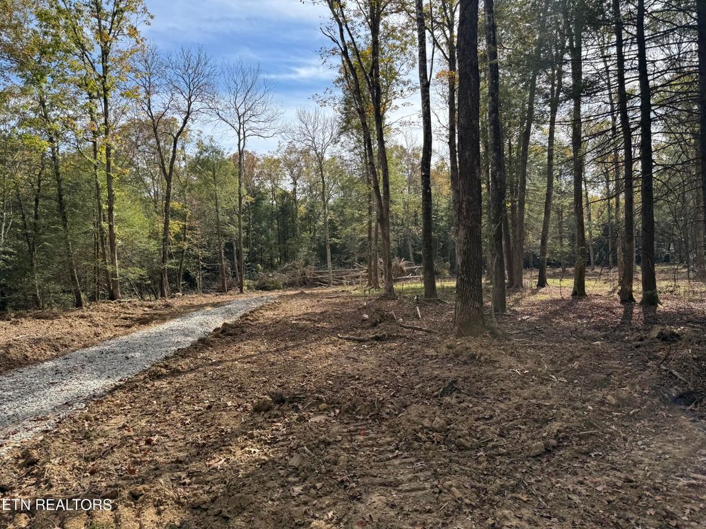 Photo of Newton Rd, Crossville, TN 38572 (MLS # 1319248)