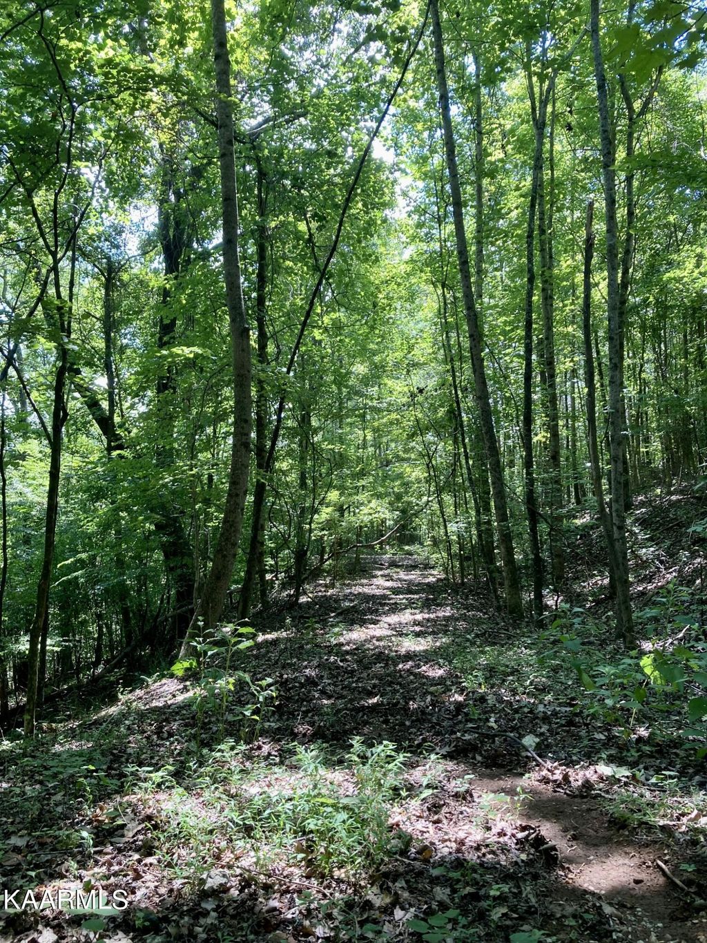 Photo of Lakewood Village Drive, Spring City, TN 37381 (MLS # 1209251)