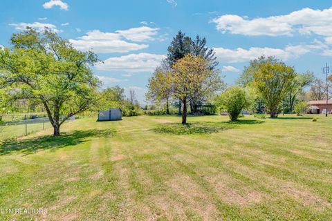 Tiny photo for 130 Chestnut Court, Crossville, TN 38555 (MLS # 1339600)
