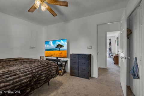 Tiny photo for 130 Chestnut Court, Crossville, TN 38555 (MLS # 1339600)