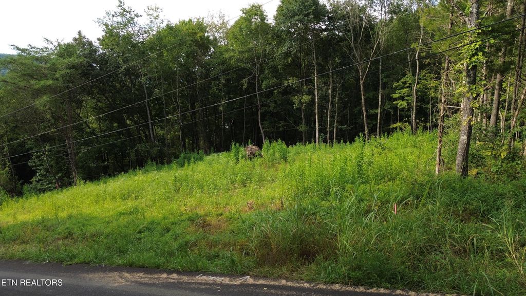 Photo of 22 Moon Circle, Spring City, TN 37381 (MLS # 1313328)