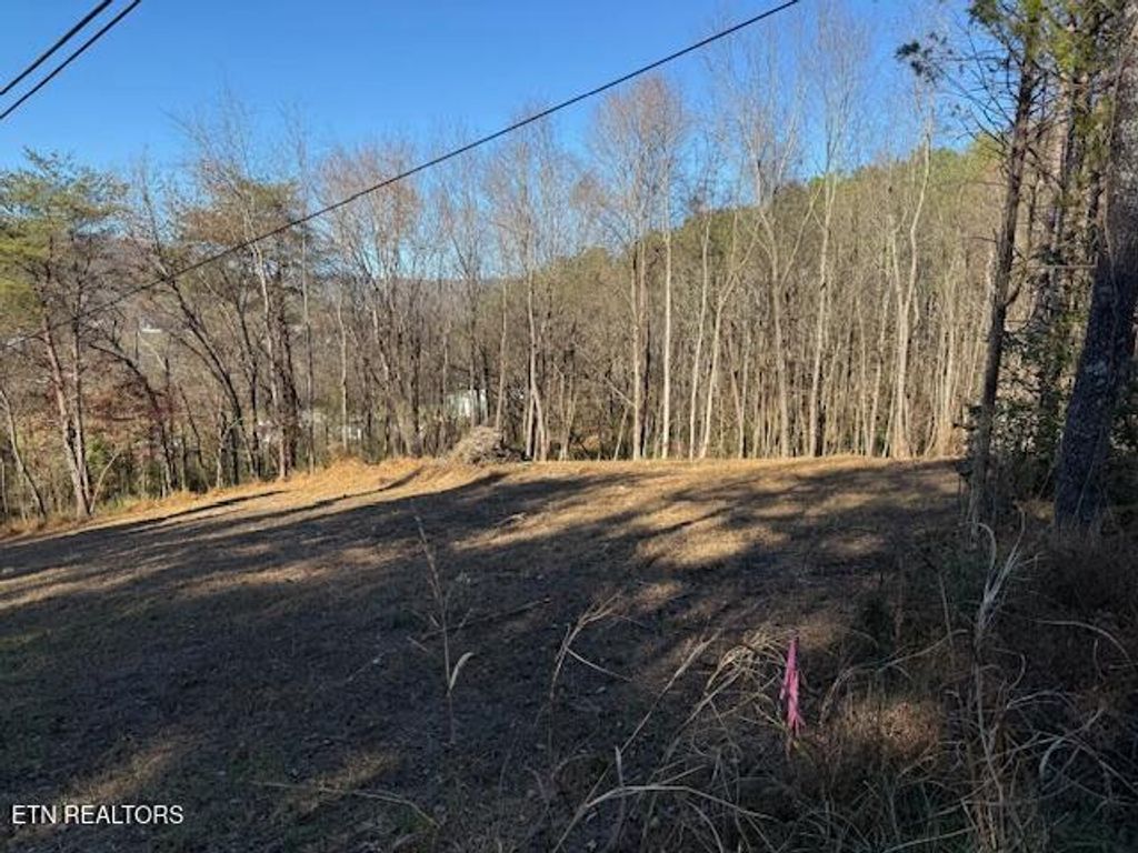 Photo of 22 Moon Circle, Spring City, TN 37381 (MLS # 1313328)