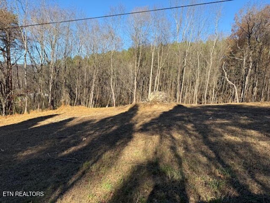 Photo of 22 Moon Circle, Spring City, TN 37381 (MLS # 1313328)