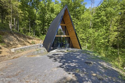 Photo of 1096 U.S. 25E, Newport, TN 37821 (MLS # 1337705)