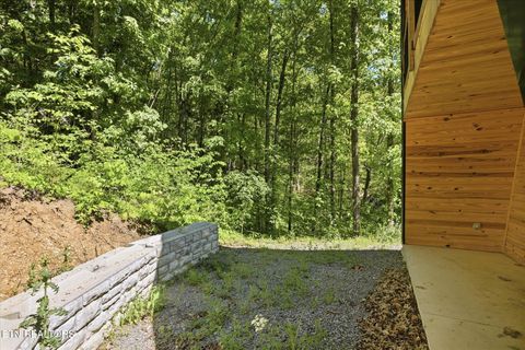 Tiny photo for 1096 U.S. 25E, Newport, TN 37821 (MLS # 1337705)