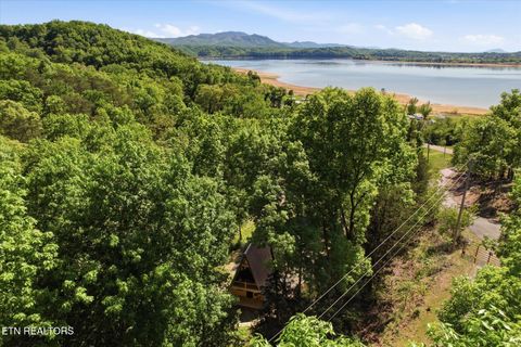 Tiny photo for 1096 U.S. 25E, Newport, TN 37821 (MLS # 1337705)