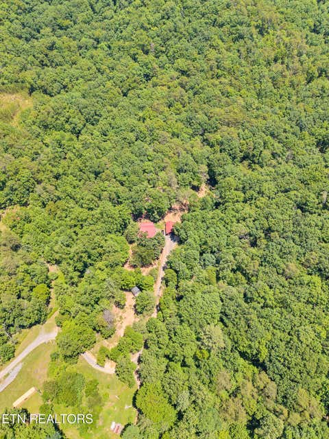 Tiny photo for 297 Dockery Rd, Tellico Plains, TN 37385 (MLS # 1343047)