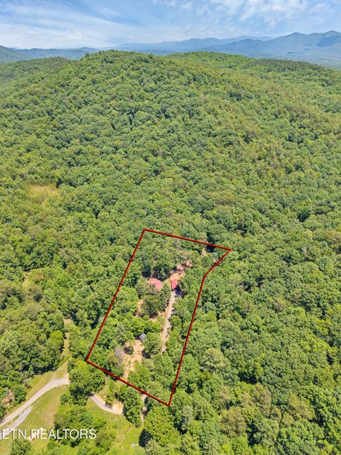 Tiny photo for 297 Dockery Rd, Tellico Plains, TN 37385 (MLS # 1343047)