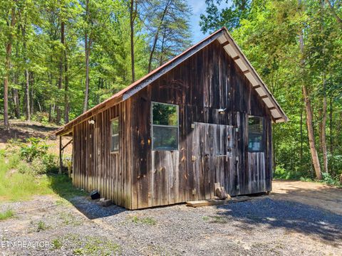 Tiny photo for 297 Dockery Rd, Tellico Plains, TN 37385 (MLS # 1343047)
