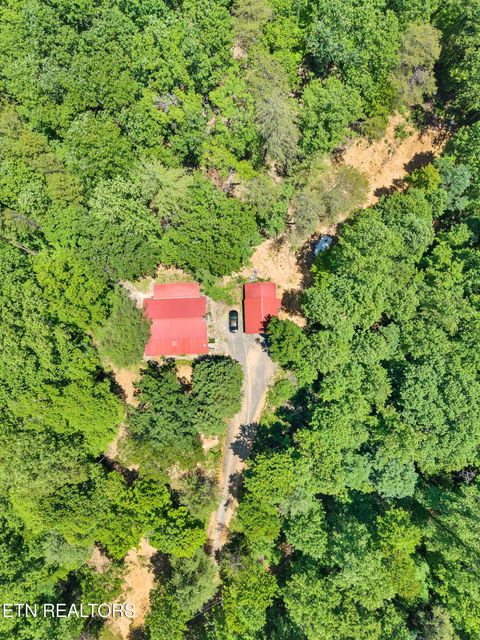 Tiny photo for 297 Dockery Rd, Tellico Plains, TN 37385 (MLS # 1343047)