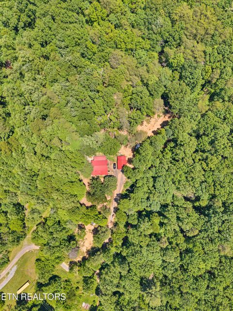 Tiny photo for 297 Dockery Rd, Tellico Plains, TN 37385 (MLS # 1343047)