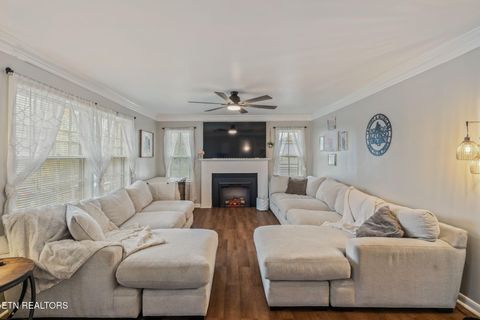 Tiny photo for 509 Williams Street St, Sweetwater, TN 37874 (MLS # 1319634)