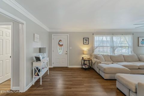 Tiny photo for 509 Williams Street St, Sweetwater, TN 37874 (MLS # 1319634)