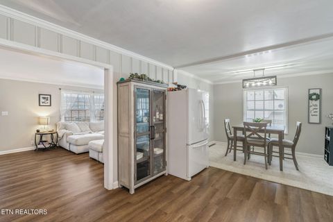 Tiny photo for 509 Williams Street St, Sweetwater, TN 37874 (MLS # 1319634)