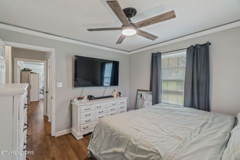 Tiny photo for 509 Williams Street St, Sweetwater, TN 37874 (MLS # 1319634)