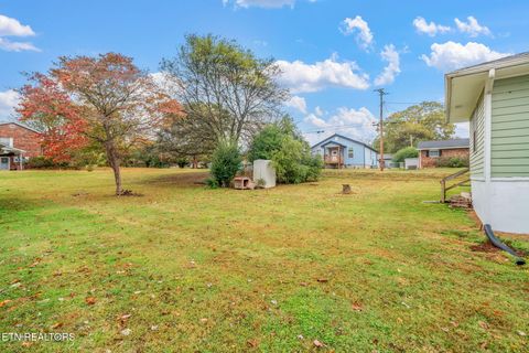 Tiny photo for 509 Williams Street St, Sweetwater, TN 37874 (MLS # 1319634)