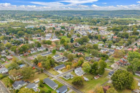 Tiny photo for 509 Williams Street St, Sweetwater, TN 37874 (MLS # 1319634)