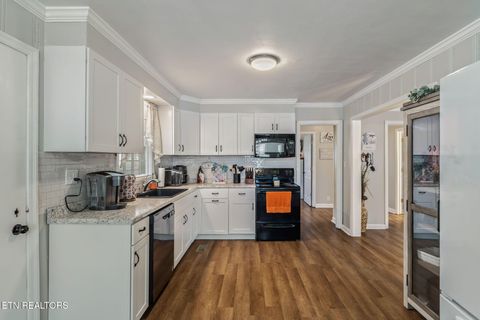 Tiny photo for 509 Williams Street St, Sweetwater, TN 37874 (MLS # 1319634)