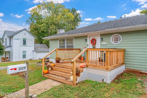 Tiny photo for 509 Williams Street St, Sweetwater, TN 37874 (MLS # 1319634)