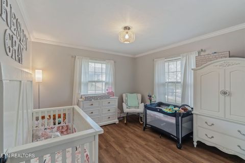 Tiny photo for 509 Williams Street St, Sweetwater, TN 37874 (MLS # 1319634)