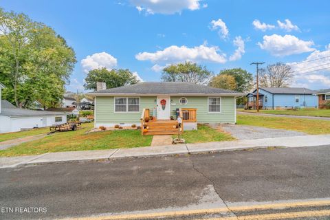 Tiny photo for 509 Williams Street St, Sweetwater, TN 37874 (MLS # 1319634)