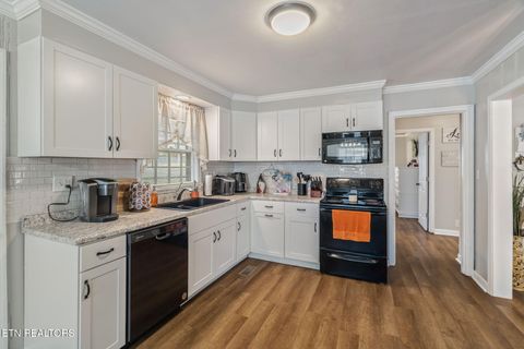 Tiny photo for 509 Williams Street St, Sweetwater, TN 37874 (MLS # 1319634)