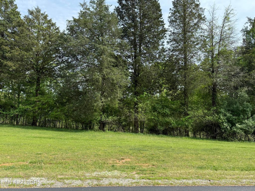 Photo of 205 W Shore Drive, Rockwood, TN 37854 (MLS # 1339089)