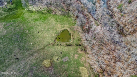Tiny photo for 7616 Plateau Rd, Crossville, TN 38571 (MLS # 1360342)
