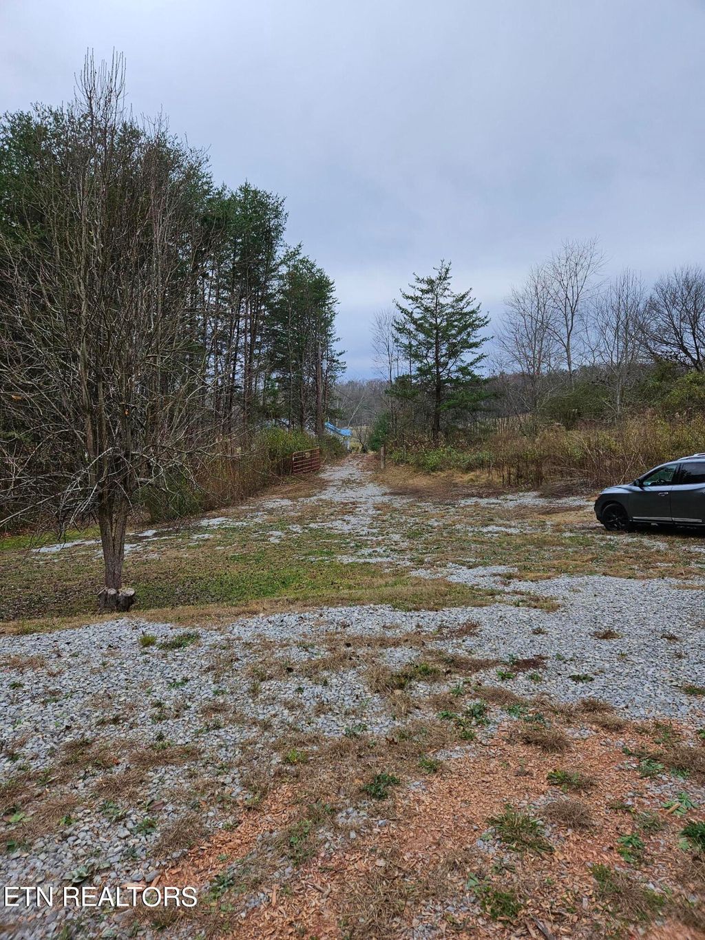 Photo of 277 Finger Board Rd, Tellico Plains, TN 37385 (MLS # 1247166)