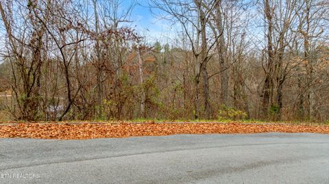 Tiny photo for 22 Penelope Lane, Sevierville, TN 37876 (MLS # 1323773)