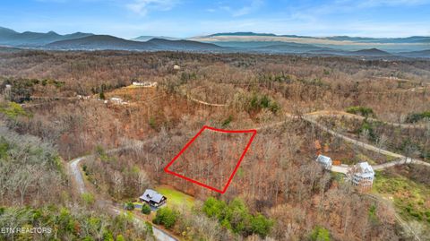 Tiny photo for 22 Penelope Lane, Sevierville, TN 37876 (MLS # 1323773)