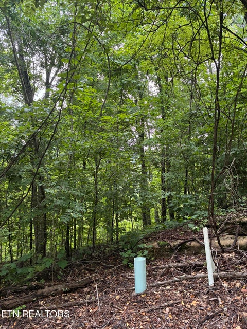 Tiny photo for Russell Brothers Rd, Sharps Chapel, TN 37866 (MLS # 1348558)