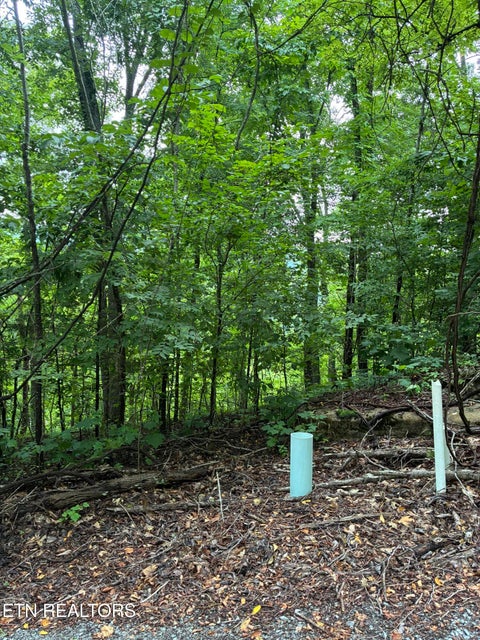 Tiny photo for Russell Brothers Rd, Sharps Chapel, TN 37866 (MLS # 1348558)