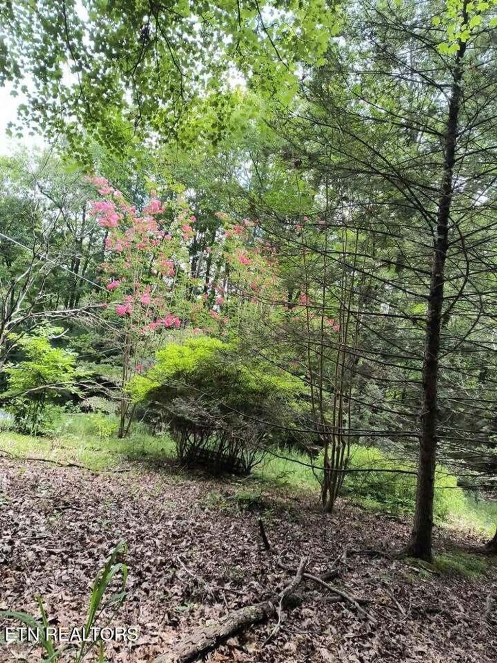 Photo of 47 S Shorewood Drive, Caryville, TN 37714 (MLS # 1340031)