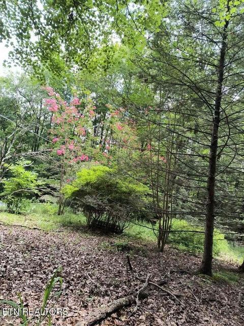 Tiny photo for 47 S Shorewood Drive, Caryville, TN 37714 (MLS # 1340031)