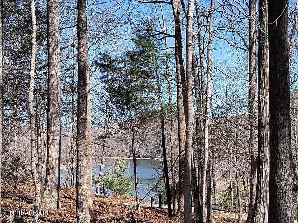 Photo of 47 S Shorewood Drive, Caryville, TN 37714 (MLS # 1340031)