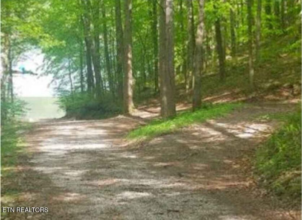 Photo of 47 S Shorewood Drive, Caryville, TN 37714 (MLS # 1340031)