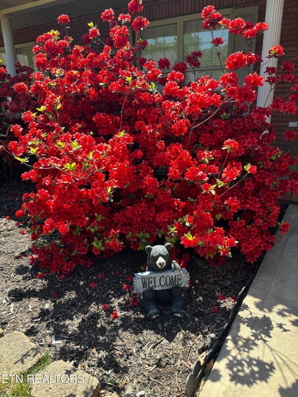 Photo of 605 Marston Lane, Knoxville, TN 37920 (MLS # 1337954)