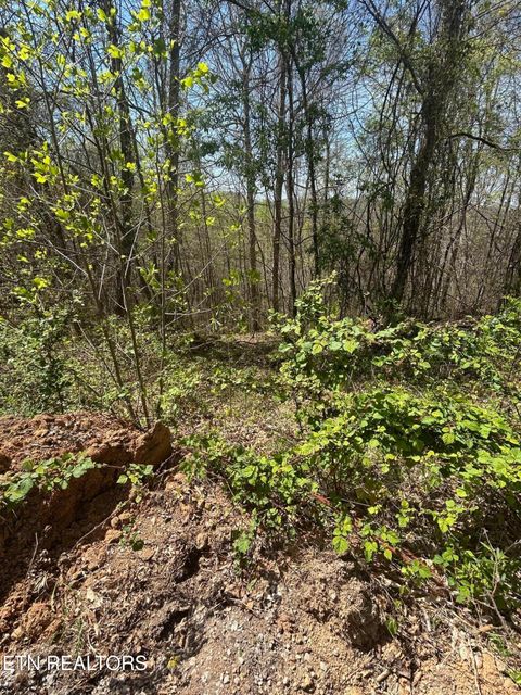Tiny photo for 27 Jones Ridge Rd, Speedwell, TN 37870 (MLS # 1335153)