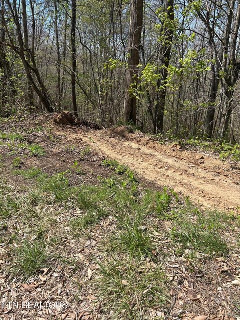 Tiny photo for 27 Jones Ridge Rd, Speedwell, TN 37870 (MLS # 1335153)