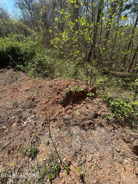 Tiny photo for 27 Jones Ridge Rd, Speedwell, TN 37870 (MLS # 1335153)