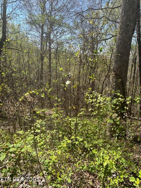 Tiny photo for 27 Jones Ridge Rd, Speedwell, TN 37870 (MLS # 1335153)
