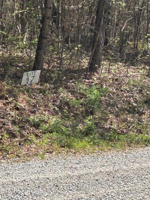 Tiny photo for 27 Jones Ridge Rd, Speedwell, TN 37870 (MLS # 1335153)