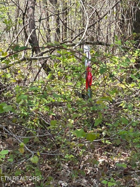 Tiny photo for 27 Jones Ridge Rd, Speedwell, TN 37870 (MLS # 1335153)