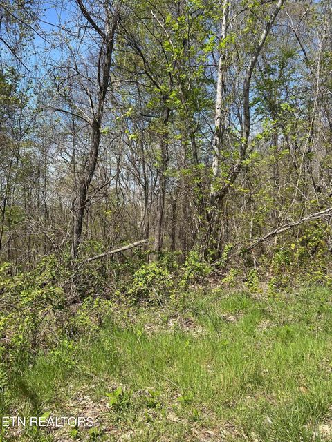 Tiny photo for 27 Jones Ridge Rd, Speedwell, TN 37870 (MLS # 1335153)